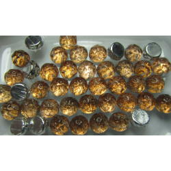 Baroque 2-Hole Cabochon 7 mm Backlit Peach - 10 pcs