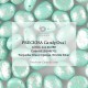 Candy Oval Beads 12x10 mm Opaque Turquoise Green Granite Gold - 10 pz