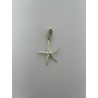 Pendente in Argento 925 Stella Marina Liscia 20x16 mm 