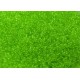 Rocailles Miyuki 11/0 Transparent Pale Lime Green - 10 g - cod. 0143