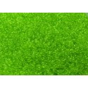 Rocailles Miyuki 11/0 Transparent Pale Lime Green - 10 g - cod. 0143