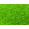 Rocailles Miyuki 11/0 Transparent Pale Lime Green - 10 g - cod. 0143