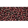 Rocailles Toho 11/0 Silver-Lined Garnet
