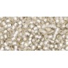 Rocailles Toho 11/0 Silver-Lined Frosted Crystal - 10 g 
