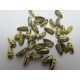 Chilli Beads 4x11 mm Crystal Amber - 40 pz