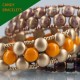 Candy Beads 8 mm Pastel Emerald - 20 pz