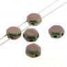 Honeycomb 6 mm Motley Sage and Citrus - 20 Pz