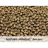 Miniduo 2 x 4 mm Gold Bronze 24 Carats - 5 g