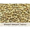 Miniduo 2 x 4 mm Full Dorado - 5 g