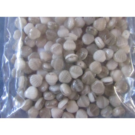 Perle forma Conchiglia 9x9 mm Alabaster/Grey - 10 pz