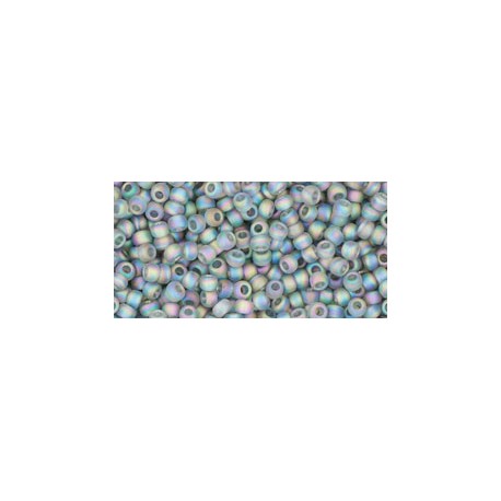 Rocailles Toho 11/0 Transparent Rainbow Frosted Gray - 10 g
