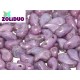 Zoliduo® 5 x 8 mm Opaque Lila Vega Luster Versione Destra - 20 Pz