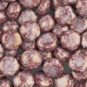 Candy Beads 8 mm Opaque Terracotta Purple - 20 pz