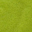 Delica Miyuki 11/0 Matted Transp. Chartreuse (Lime) - 5 g