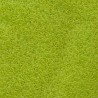 Delica Miyuki 11/0 Matted Transp. Chartreuse (Lime) - 5 g