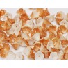 Perline Flower Cup 7x5 mm Chalk White Apricot Medium - 25 pz