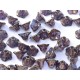 Perline Flower Cup 7x5 mm Crystal Lila Vega Luster - 25 pz