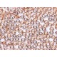 Perline O Bead 4 mm Crystal Capri Gold - 5 g