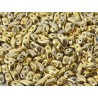 StormDuo 7 x 3 mm Crystal Amber Full - 40 Pz