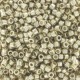 Delica Miyuki 11/0 Duracoat Galvanized Silver - 5 g