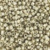 Delica Miyuki 11/0 Duracoat Galvanized Silver - 5 g