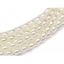 Rice Pearl in vetro di Boemia 6x4 mm Bright White - 25 Pz