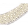 Rice Pearl in vetro di Boemia 6x4 mm Bright White - 25 Pz